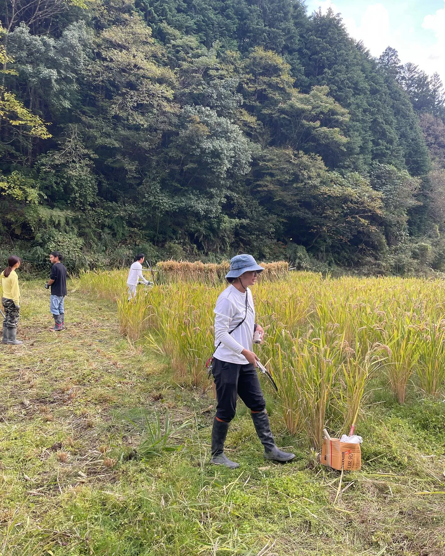 研修2日目は、vegimoの小林さんから畑についてレクチャー...